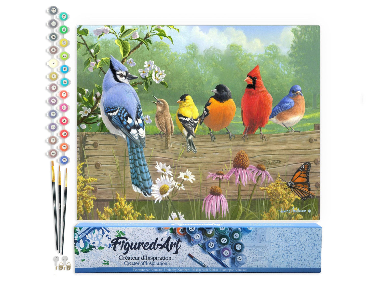 Paint by numbers - Birds On A Fence