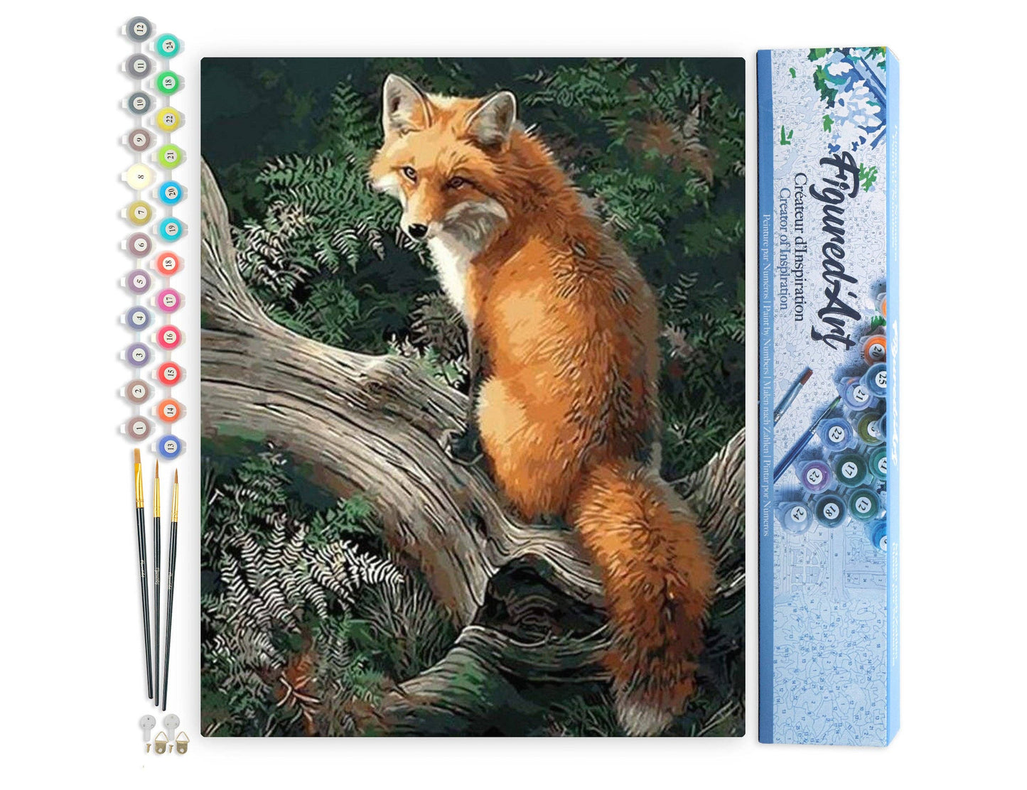 Paint by numbers - Fox in the Woods