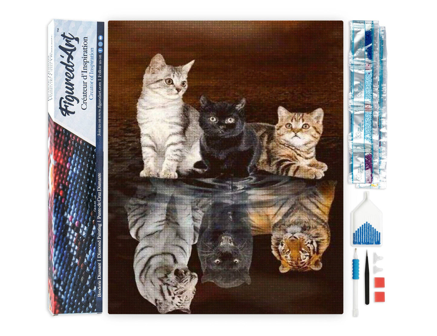 Diamond Painting - Kitten Reflection
