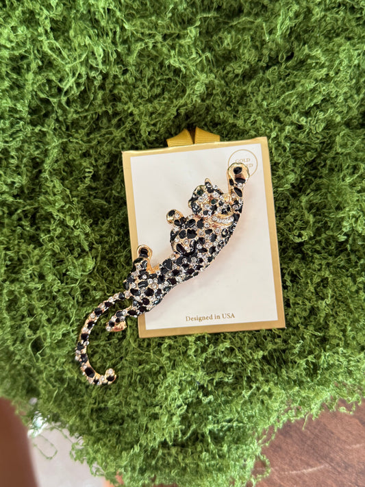 brooch