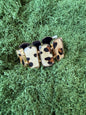 leopard bracelet
