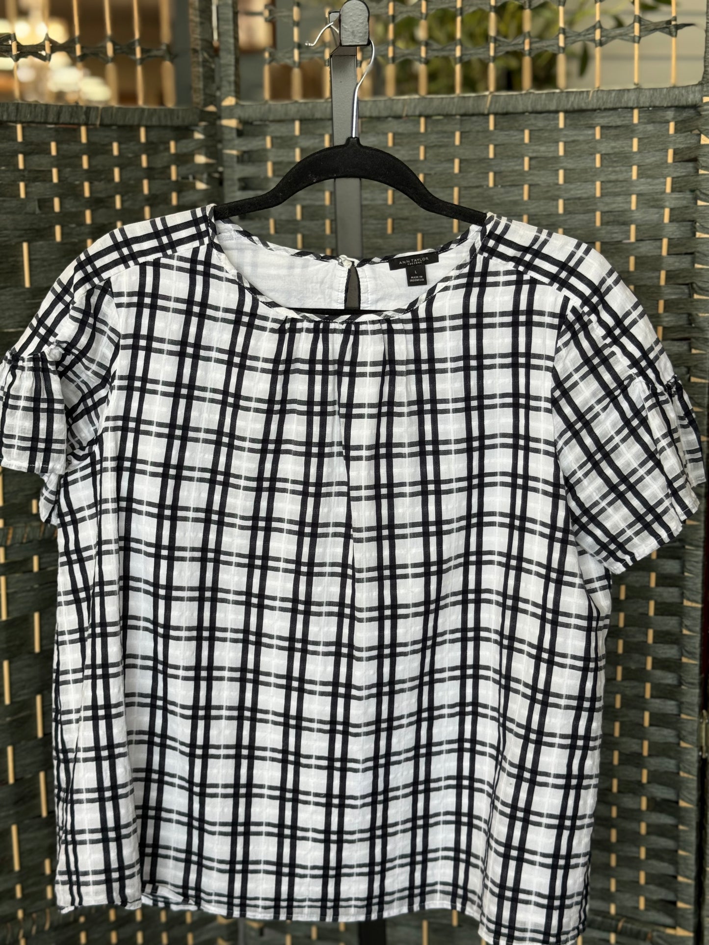 Ann Taylor Large